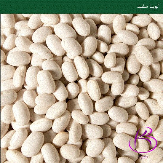 Picture of لوبیا سفید پیلانه 900 گرمی