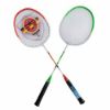 Picture of راکت بدمینتون Haotian مدل HT-308 به همراه توپ